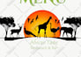 design amazing flyers and posters