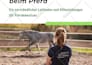 design lead magnet, ebook, workbook and canva template