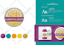 design a premium brand identity and logo for your business