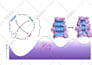 illustrate scientific figures for journal publications