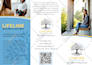 design an effective trifold or small brochure