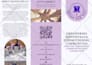 do a professional business brochure design, trifold brochure design