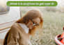 design ebooks pdfs, workbooks, lead magnets in canva