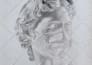 draw realistic handmade  sketch