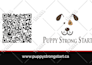 design letterhead, stationery or business card