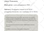 do professional landing page, with mobile optimization