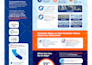 design a unique custom and professional infographic