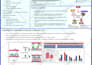 convert word to stunning indesign and PDF