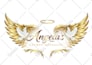 create a beautiful spiritual website for your tarot, oracle, or psychic business