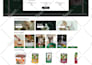 build ecommerce website online shop or webshop with wordpress woocommerce