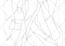 line art illustration, hand drawn, vector line art drawing
