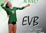edit your flyers and brochures