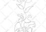 convert your illustration or image to clean vector manually