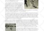 write compelling articles for your website