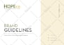 design a professional brand guideline for your business