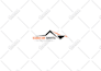 redesign your logo in vector format