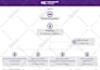design infographic, flow chart, pie charts and business infographics