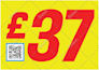 design a business flyer or leaflet for you
