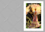 do KDP paperback and ebook formatting and layout designing
