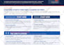 design a premium pitch deck, company profile and brochure