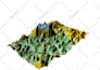 make topographic maps, contour maps using arcgis, google earth, rhino, autocad