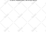 create kdp low content book interior in 24h