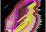 digitize logo, anime, patch for embroidery digitizing design