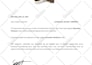 professionally design certificate of authenticity
