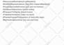 create a minimum of least 10 wedding hashtags for you