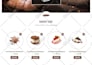 design redesign, and develop a wordpress website for business or ecommerce