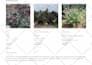create a custom landscape design for your property