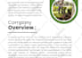 design welcome packet, ebook, information packet using canva