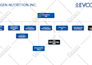 create a professional organization chart or org chart in ms visio