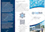 design an effective trifold or small brochure