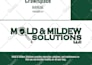 do unique, stunning PDF lead magnet design or premium brochure, ebook design