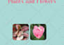 design or layout book interior, book cover and ebook