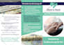 create any flyer you like