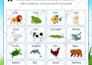 do kids custom worksheets, kids worksheets, activity book, coloring pages