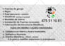 design a professional flyer