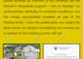 create a professional flyer, poster or brochure design