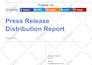 create an amazing press release for you
