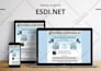 create a responsive wordpress website free consultancy