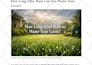 do SEO content writing for websites, blogs and articles