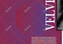 indesign brand lookbook fashion lookbook digital lookbook flipbook design canva