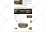 do webflow website design, framer website, figma to webflow, webflow developer