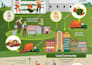 design an infographic with flat illustrations