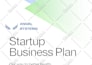 build a professional business plan and financial forecast for investors