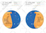 create illustrations for web and motion graphics