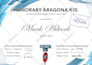 design executive, professional certificates