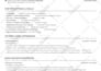perform professional resume design and CV design